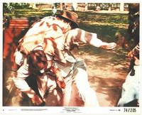 Chinatown - 8 x 10 Color Photo #5