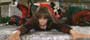 Christmas with the Kranks - 8 x 10 Color Photo #27