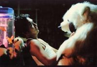 Chungking Express - 8 x 10 Color Photo #4