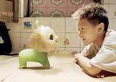 CJ7 - 8 x 10 Color Photo #1