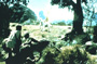 Clash of the Titans - 8 x 10 Color Photo #7