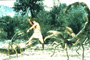 Clash of the Titans - 8 x 10 Color Photo #15