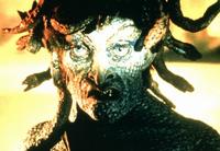 Clash of the Titans - 8 x 10 Color Photo #5