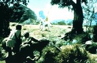 Clash of the Titans - 8 x 10 Color Photo #7