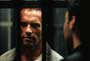 Collateral Damage - 8 x 10 Color Photo #6