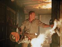 Collateral Damage - 8 x 10 Color Photo #1