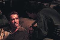 Collateral Damage - 8 x 10 Color Photo #2