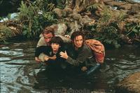Collateral Damage - 8 x 10 Color Photo #3