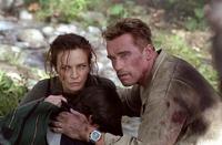 Collateral Damage - 8 x 10 Color Photo #4