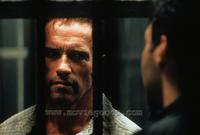 Collateral Damage - 8 x 10 Color Photo #6