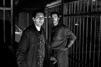 Collateral Damage - 8 x 10 B&W Photo #1