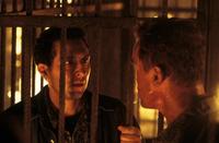 Collateral Damage - 8 x 10 Color Photo #7