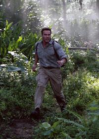 Collateral Damage - 8 x 10 Color Photo #9