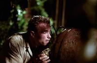 Collateral Damage - 8 x 10 Color Photo #11