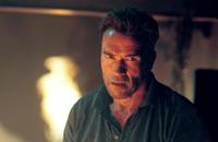 Collateral Damage - 8 x 10 Color Photo #13