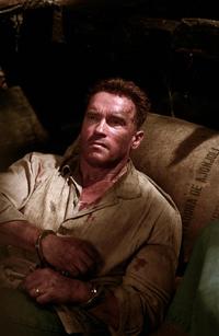 Collateral Damage - 8 x 10 Color Photo #15