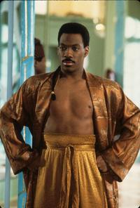 Coming to America - 8 x 10 Color Photo #1