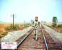Cool Hand Luke - 8 x 10 Color Photo #8