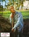 Cool Hand Luke - 8 x 10 Color Photo #9