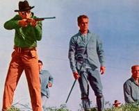 Cool Hand Luke - 8 x 10 Color Photo #3