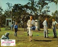 Cool Hand Luke - 8 x 10 Color Photo #5