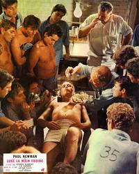 Cool Hand Luke - 8 x 10 Color Photo #7