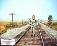 Cool Hand Luke - 8 x 10 Color Photo #8