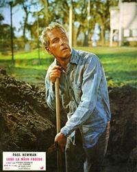 Cool Hand Luke - 8 x 10 Color Photo #9