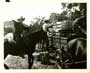 Cow Country - 8 x 10 B&W Photo #3