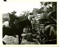 Cow Country - 8 x 10 B&W Photo #3