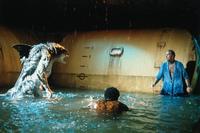 Creature (TV) - 8 x 10 Color Photo #7