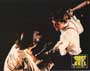 Crimewave - 8 x 10 Color Photo #3