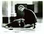 Criminal Law - 8 x 10 B&W Photo #6