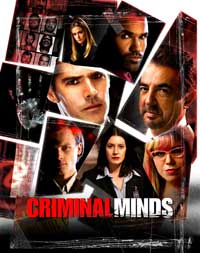 Criminal Minds - 43 x 62 TV Poster - Style A
