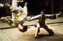 Crouching Tiger, Hidden Dragon - 8 x 10 Color Photo #5