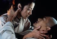 Crouching Tiger, Hidden Dragon - 8 x 10 Color Photo #2