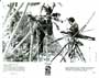 Crusoe - 8 x 10 B&W Photo #4