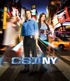 CSI: NY - 11 x 17 TV Poster - Style E
