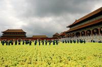 Curse of the Golden Flower - 8 x 10 Color Photo #21