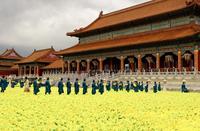 Curse of the Golden Flower - 8 x 10 Color Photo #31