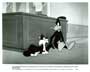 Daffy Ducks Quackbusters - 8 x 10 B&W Photo #3