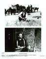 Dances with Wolves - 8 x 10 B&W Photo #9