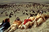 Dances with Wolves - 8 x 10 Color Photo #7