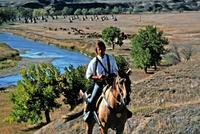 Dances with Wolves - 8 x 10 Color Photo #9