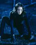Dark Angel - 8 x 10 Color Photo #23