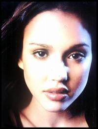 Dark Angel - 8 x 10 Color Photo #7