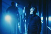 Dark Angel - 8 x 10 Color Photo #14