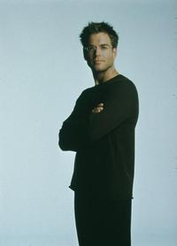 Dark Angel - 8 x 10 Color Photo #29
