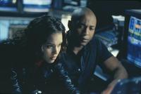 Dark Angel - 8 x 10 Color Photo #42