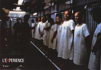 Das Experiment - 8 x 10 Color Photo #1